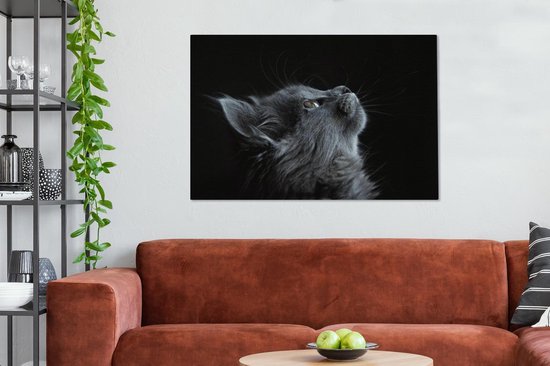 Tableau Toile Chat - Léger - Zwart - 120x80 cm - Décoration murale