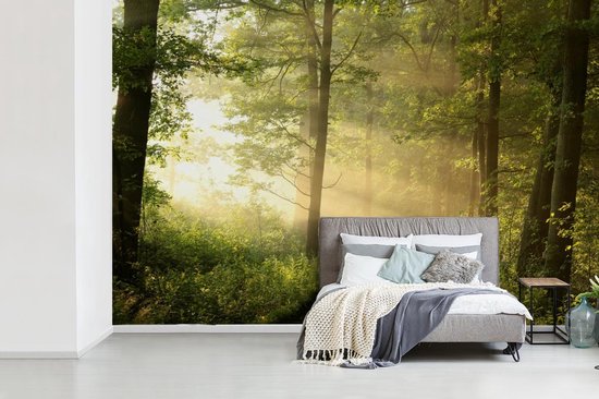 Papier peint - Papier peint photo Forêt - Soleil - Arbres - Largeur 420 cm x hauteur 280 cm