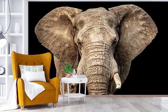 Papier peint - Papiers Papier peint photo Éléphant - Portrait - Zwart - Largeur 390 cm x Hauteur 260 cm