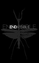 ENDVISIBLE