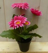 Kunstgerbera roze in pot