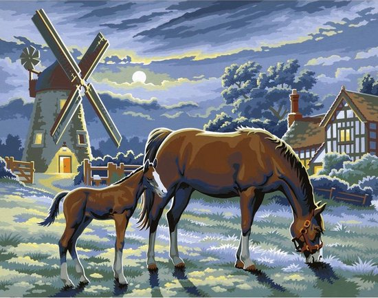 Schilderen Op Nummer Paarden | bol.com