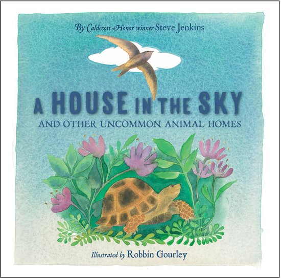 A House in the Sky - cover