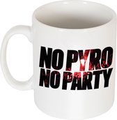 No Pyro No Party Mug