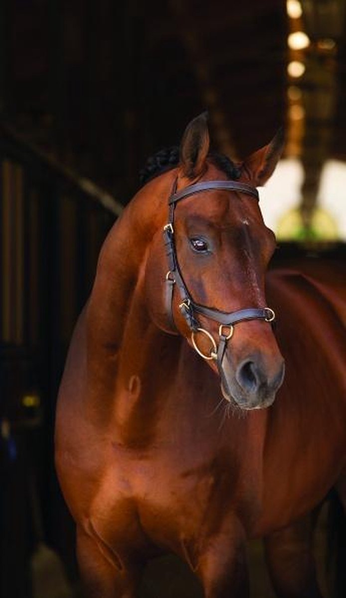 Horseware Rambo Micklem Rubber Reins Bruin Pony
