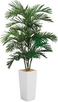 HTT - Kunstplant Areca palm in Clou vierkant wit H200 cm