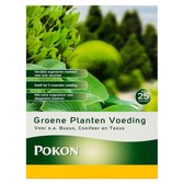 Pokon Groene Planten Voeding - 1 kg