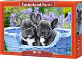 Castorland French Bulldog Puppies - 1000 stukjes