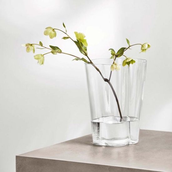 Ontoegankelijk lijst Diversiteit Iittala Alvar Aalto collection Vaas 27 cm Clear | bol.com