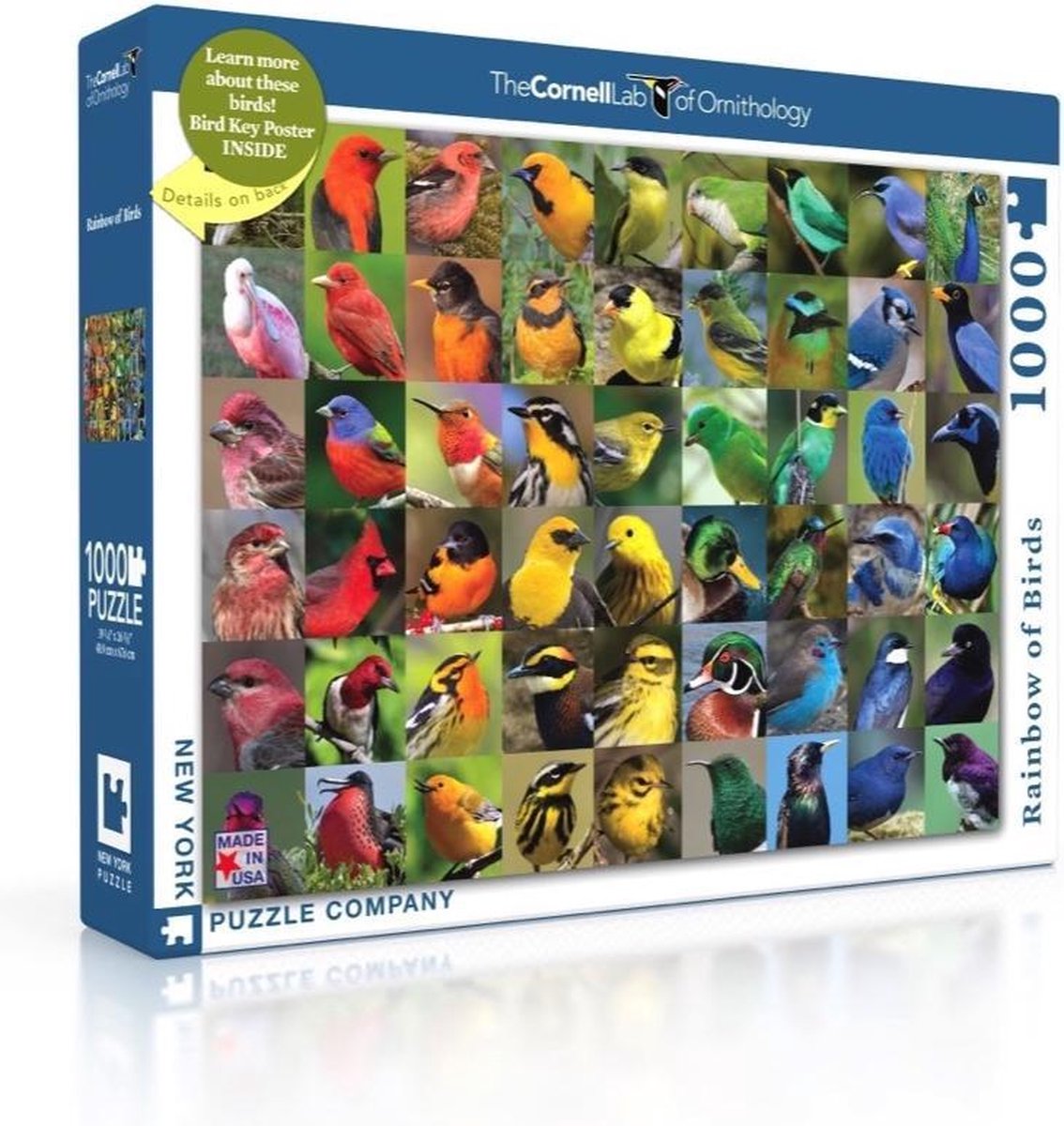 New York Puzzle Company - Cornell Lab Rainbow of Birds - 1000 stukjes puzzel