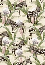 Cadeaupapier Jungle Zebra K601968- Breedte 50 cm - 200m lang