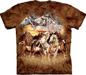 T-shirt Find 15 Horses 3XL
