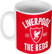 Liverpool Established Mok