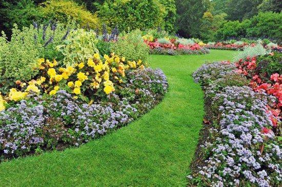 Cellfast - Tuinrand 20cm x 9m - Gazonrand - Groen kleur — afbeelding 3