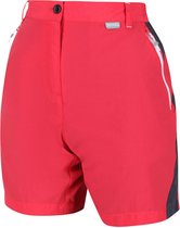 Regatta - Women's Sungari II Walking Shorts - Outdoorbroek - Vrouwen - Maat 44 - Rood