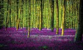 Flowers Forest Nature Photo Wallcovering