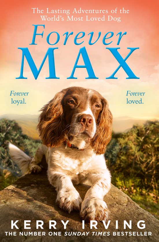 Forever Max - cover