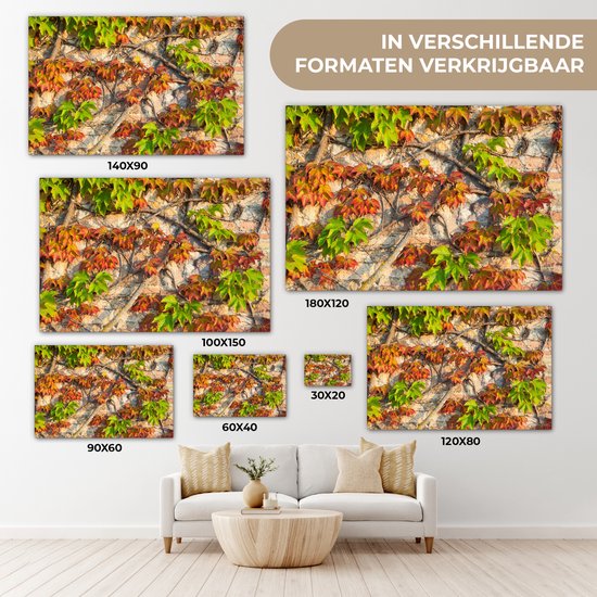 Feuilles d'Hedera rouges et vertes sur un mur de pierre Toile 180x120 cm - Tirage photo sur Toile (Décoration murale salon / chambre) XXL / Grand format!