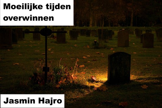 Work to shine 1 - Moeilijke tijden overwinnen - cover