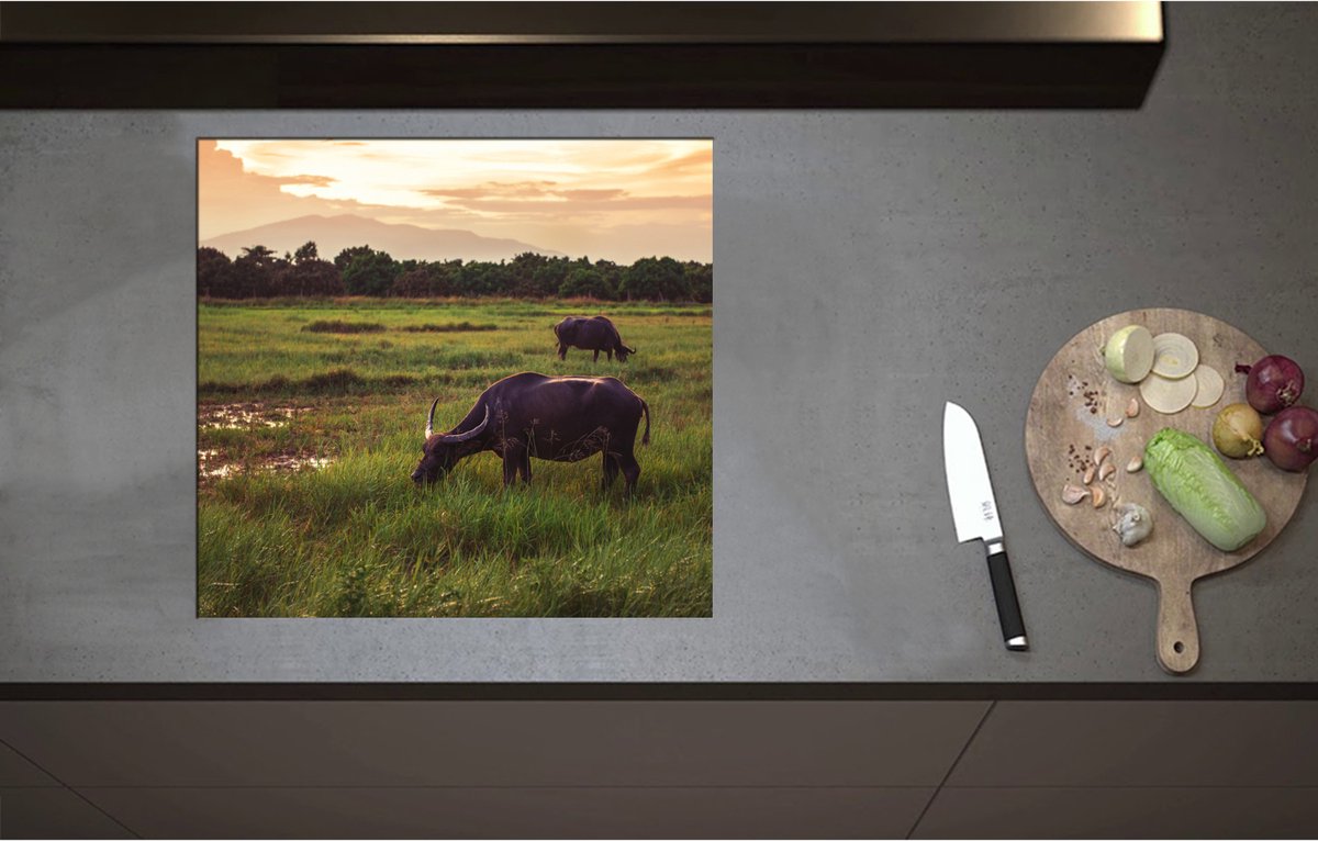 Inductieplaat Beschermer - Buffels Grazend in het Landschap - 59x55 cm - 2 mm Dik - Inductie Beschermer - Bescherming Inductiekookplaat - Kookplaat Beschermer van Zwart Vinyl