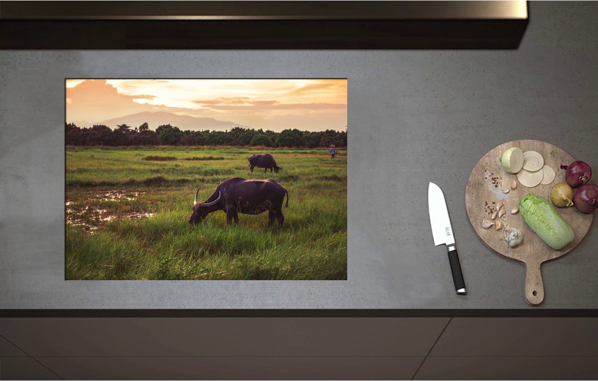 Inductieplaat Beschermer - Buffels Grazend in het Landschap - 71x51 cm - 2 mm Dik - Inductie Beschermer - Bescherming Inductiekookplaat - Kookplaat Beschermer van Zwart Vinyl