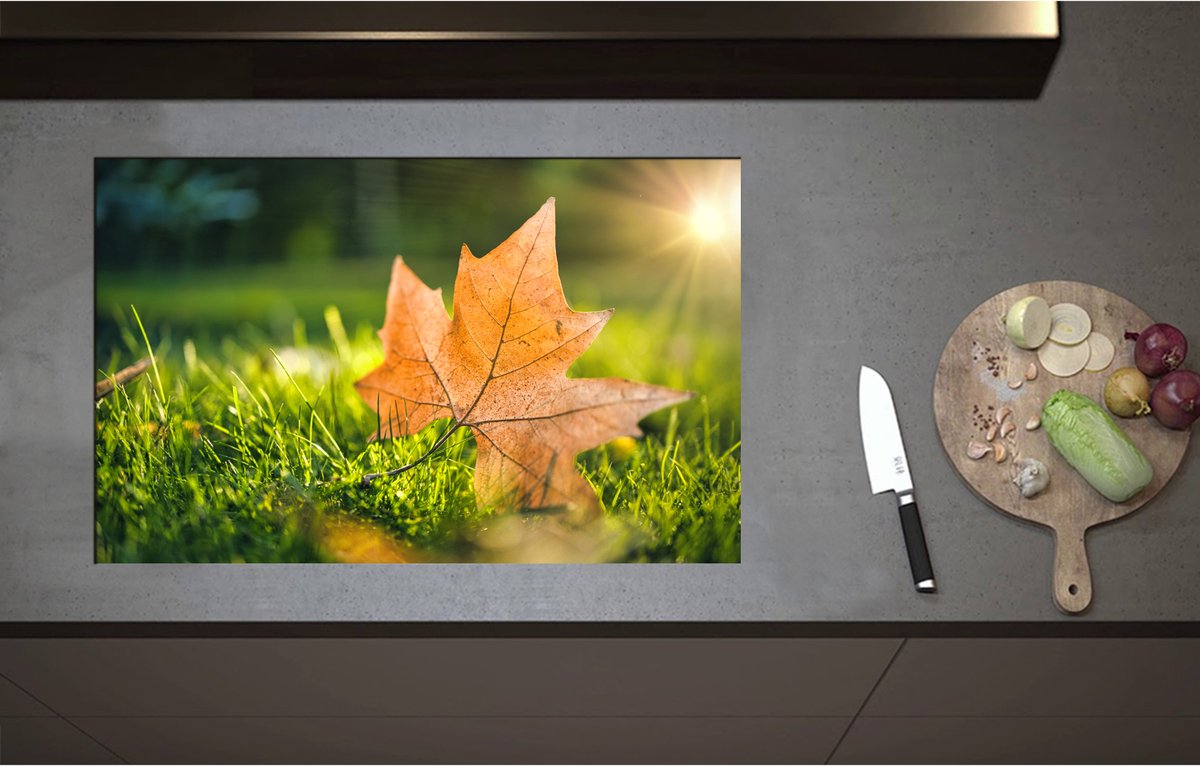 Inductieplaat Beschermer - Bruin Herfstblad op Groen Gras met Zonnestraal - 80x51 cm - 2 mm Dik - Inductie Beschermer - Bescherming Inductiekookplaat - Kookplaat Beschermer van Wit Vinyl