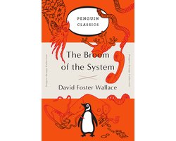 The Broom of the System