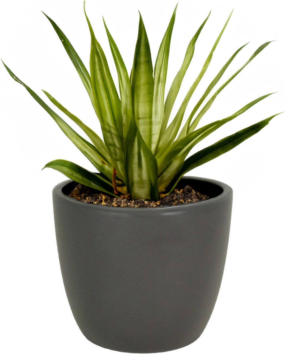 1x bloempot in kleur mat antraciet grijs keramiek voor kamerplant h12.5 x d13.5 cm- plantenpotten binnen