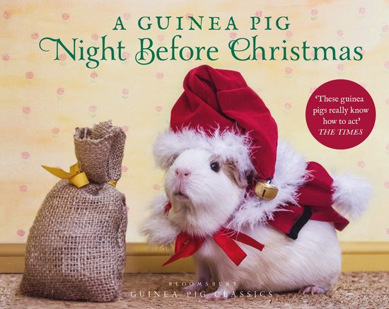 A Guinea Pig Night Before Christmas Guinea Pig Classics - cover