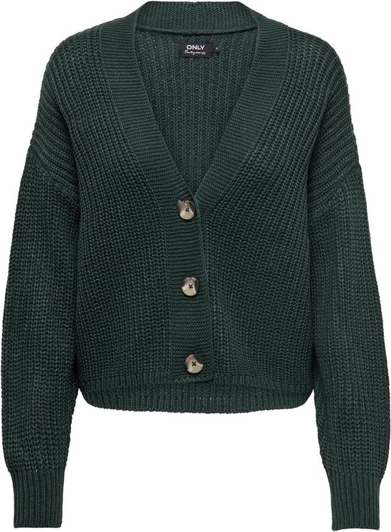 ONLY ONLCAROL NICE L/S CARDIGAN KNT NOOS Dames Vest - Maat L