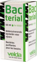 Velda Bacterial 50 ml
