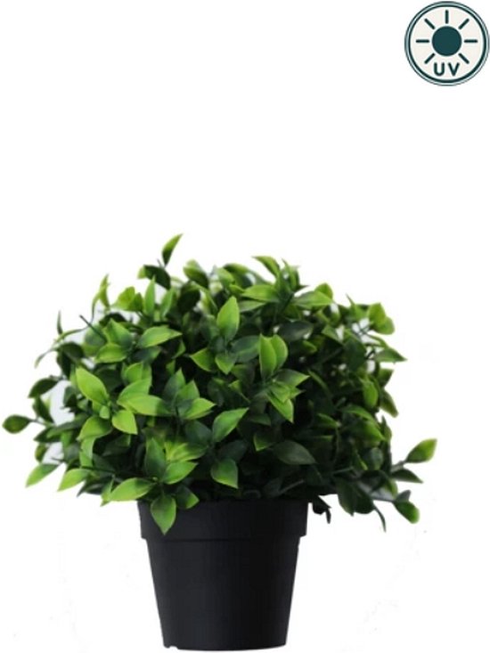 Kunstplant Photinia in pot 22cm UV - voor binnen en buiten
