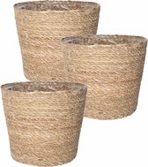 Set de 3x pot de fleurs/pot de fleurs en jute/jonc de mer diamètre 22 cm et hauteur 19 cm beige crème - Avec intérieur en plastique