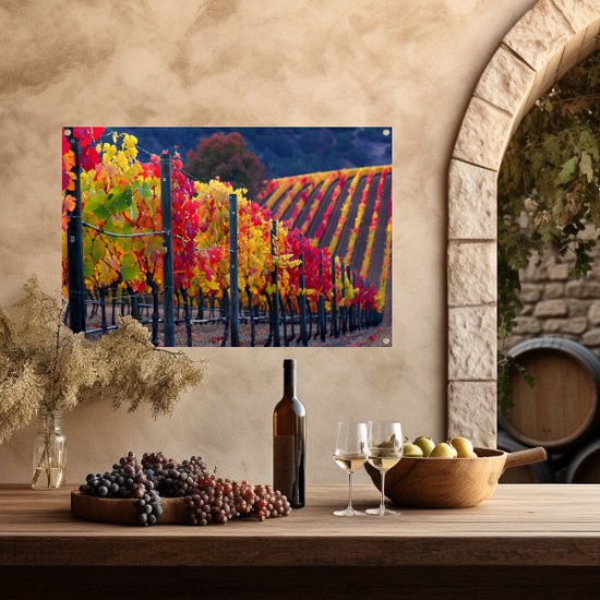 Wijnstokken posters - Natuur tuinposter - Tuinposters Bladeren - Tuinposter - Buitenschilderij schutting - Tuin decoratie tuinposter 105x70 cm