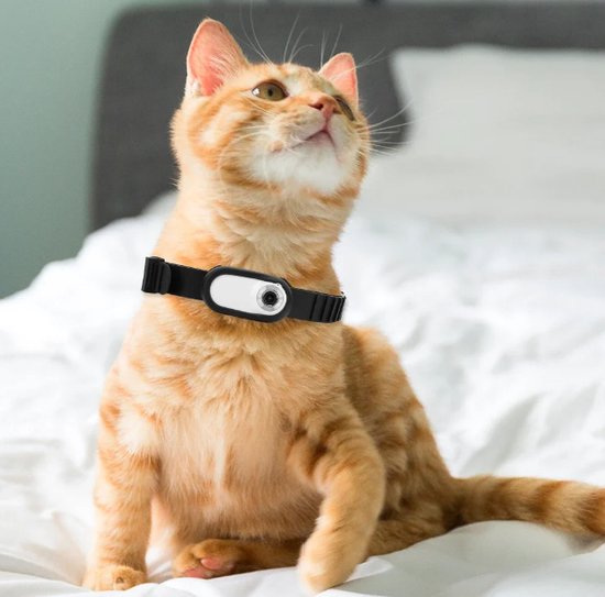 Mini-huisdiercamera Met Halsband – 1080P, 170° Groothoek, USB Opladbaar, Ideaal Voor Katten En Honden