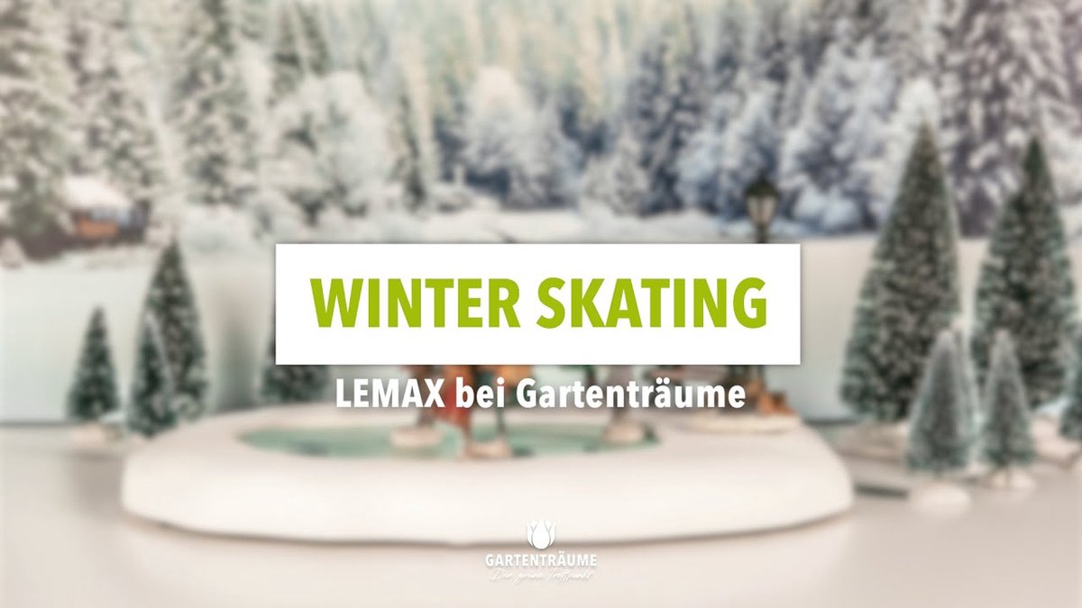 Lemax Kerstdorp Schaatsbaan - set van 9 - 4.5V adapter – foto 4