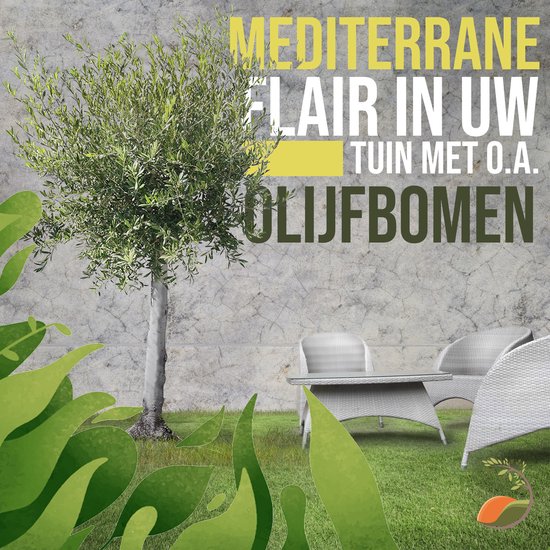 BMI Braas Divoroll Premium WU 1500 mm x 30 m/Rolle, Vlies, dunkelgrün BMI Braas Divoroll Premium WU 1500 mm x 30 m/Rolle, Vlies, dunkelgrün
