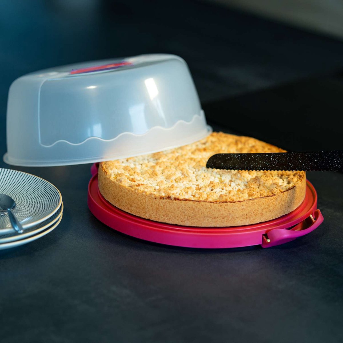 Porte-gâteau Rond Portable De 26 Cm, Avec Poignée, Support à