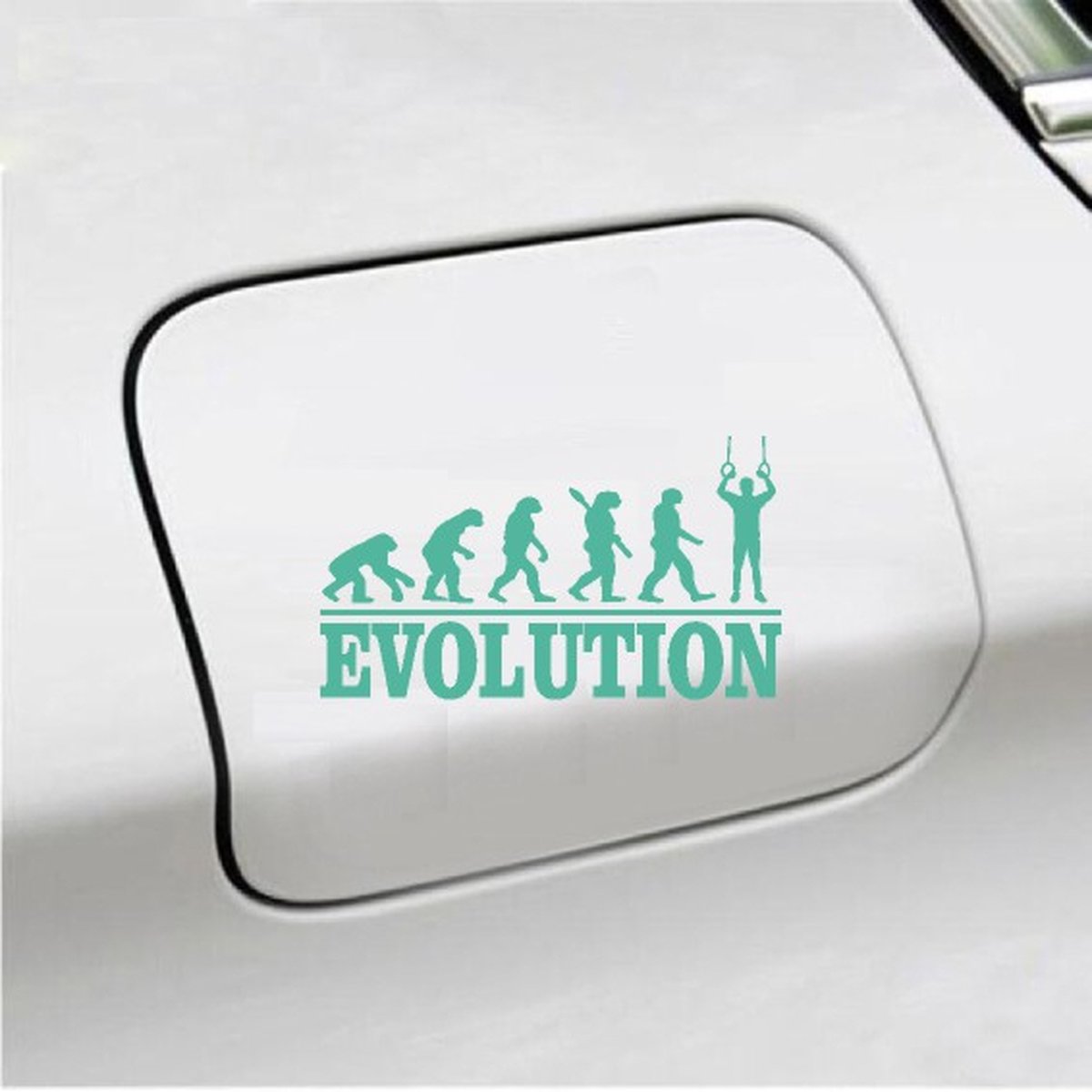 Bumpersticker - Evolution Turnringen- 20x9.3 - Mint