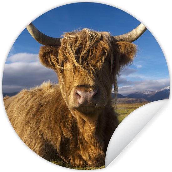 WallCircle - Stickers muraux muraux - Cercle de papier peint - Highlander écossais - Animaux - Herbe - 50x50 cm - Cercle mural - Autocollant - Autocollant de papier peint rond