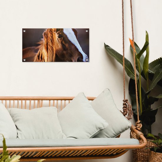 Poster de jardin Cheval - Léger - Fourrure - 60x30 cm - Toile de jardin - Poster extérieur