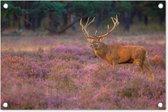 Tuindecoratie Hert - Nederland - Bloemen - Veluwe - 60x40 cm - Tuinposter - Tuindoek - Buitenposter