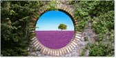 Tuinposter - Lavendel - Paars - Tuin - Doorkijk - Boom - Tuindoek - 200x100 cm - Tuinposter doorkijk - Schuttingdoek