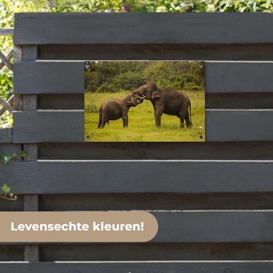 Décoration de jardin Deux éléphants combattants - 60x40 cm - Poster jardin - Toile jardin - Poster extérieur