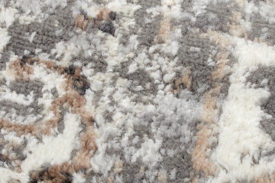 Tapiso Valley Tapis Salon Chambre Gris Clair Cadre Design Moderne Fleurs Durable Vintage Haute Qualité Tapis Taille - 200x300