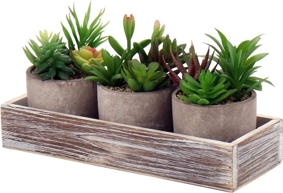 Set de 2 Plantes Artificielles Eucalyptus - HOMCOM - 90 cm