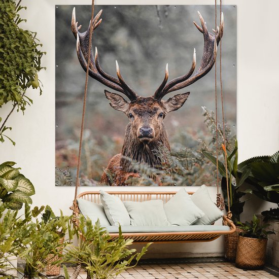 Affiche de Jardin Cerf - Nature - Automne - Animaux de la forêt - 200x200 cm - Toile de jardin - Affiche d'extérieur