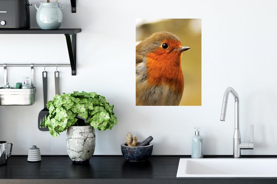 Sticker Muursticker Robin - Gros plan d'un rouge-gorge - 30x40 cm - film adhésif autocollant - sticker mural repositionnable
