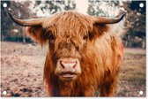 Tuindecoratie Koe- Schotse hooglander - Hoorns - Bruin - Landschap - 60x40 cm - Tuinposter - Tuindoek - Buitenposter