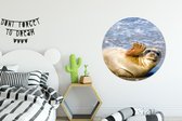 WallCircle - Wandcirkel ⌀ 90 - Zeehond - Grappig - Zwaaien - Kinderen - Jongens - Meisjes - Kindje - Ronde schilderijen woonkamer - Wandbord rond - Muurdecoratie cirkel - Kamer decoratie binnen - Wanddecoratie muurcirkel - Woonaccessoires